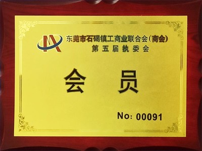 東晟密封-東莞市石碣鎮(zhèn)工商業(yè)聯(lián)合會(huì)第五屆執(zhí)委會(huì)（會(huì)員）