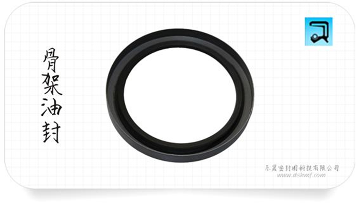 動(dòng)密封中油封都能有什么分類(lèi)呢？