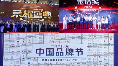 東晟密封件閃耀2024第十八屆中國(guó)品牌節(jié)，榮獲密封技術(shù)“金譜獎(jiǎng)”