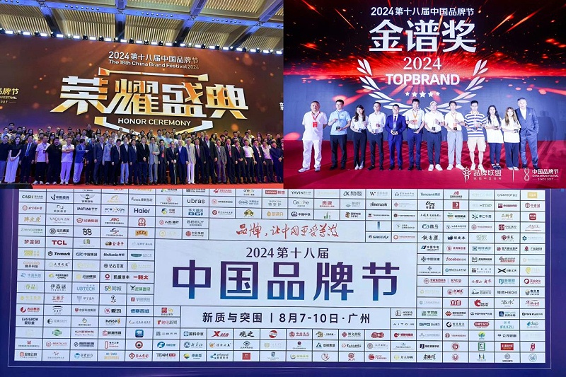 1東晟密封件閃耀2024第十八屆中國(guó)品牌節(jié)，榮獲密封技術(shù)“金譜獎(jiǎng)”