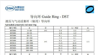 新版導(dǎo)向環(huán)DST規(guī)格尺寸