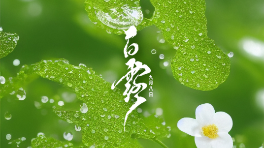 迎接<i style='color:red'>白露</i>：秋季的第一抹清涼！