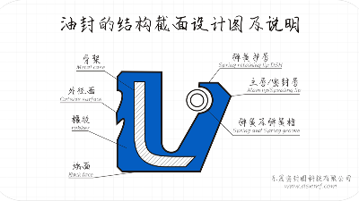 油封的結(jié)構(gòu)截面設(shè)計圖及說明1