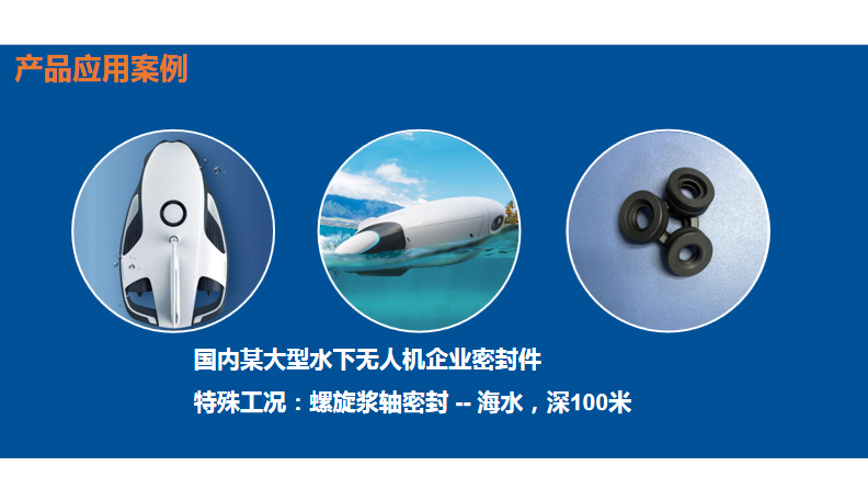 海水密封圈<i style='color:red'>b型油封密封圈</i>應(yīng)用于潛水電機(jī)
