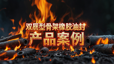 雙唇型骨架橡膠油封產(chǎn)品案例丨軸用密封大揭秘！高溫200℃下，憑啥成“防漏王者”？?