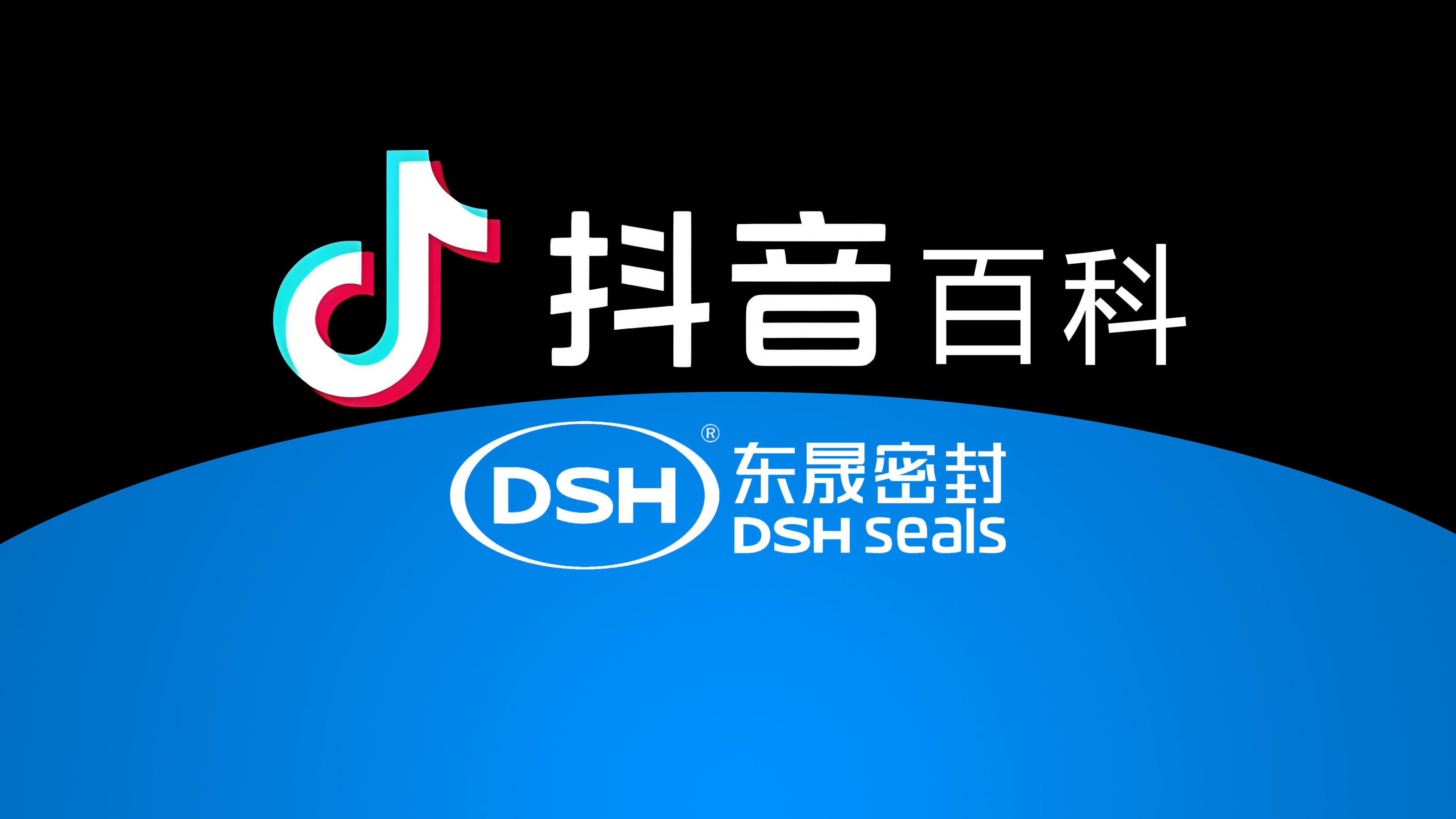 權(quán)威解讀，東晟密封件<i style='color:red'>官方百科</i>閃耀抖音！