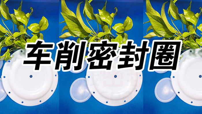 2車削密封圈，氣動隔膜泵膜片密封件
